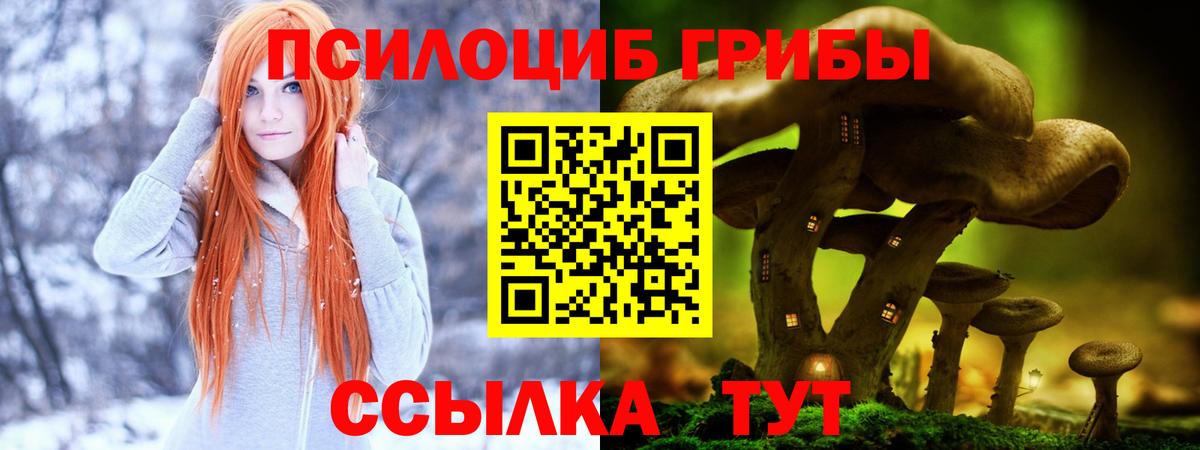 Нижний Тагил  Галлюциногенные грибы GOLDEN TEACHER  Вход с VPN  Галлюциногенные грибы прущие грибы 