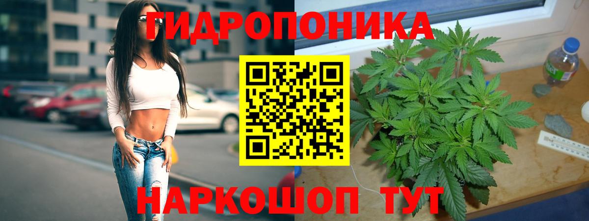 LSD-25  ГАШ  Вейп ТГК  Меф   Нижний Тагил  Конопля  Вход с VPN 
